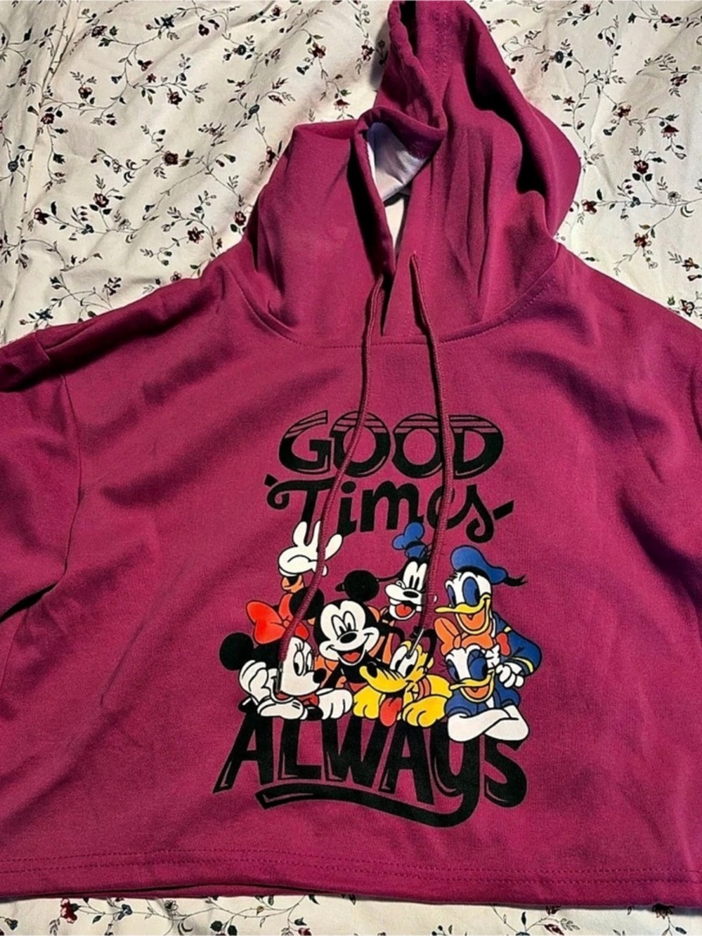 Disney Mickey & Friends Graphic Hoodie